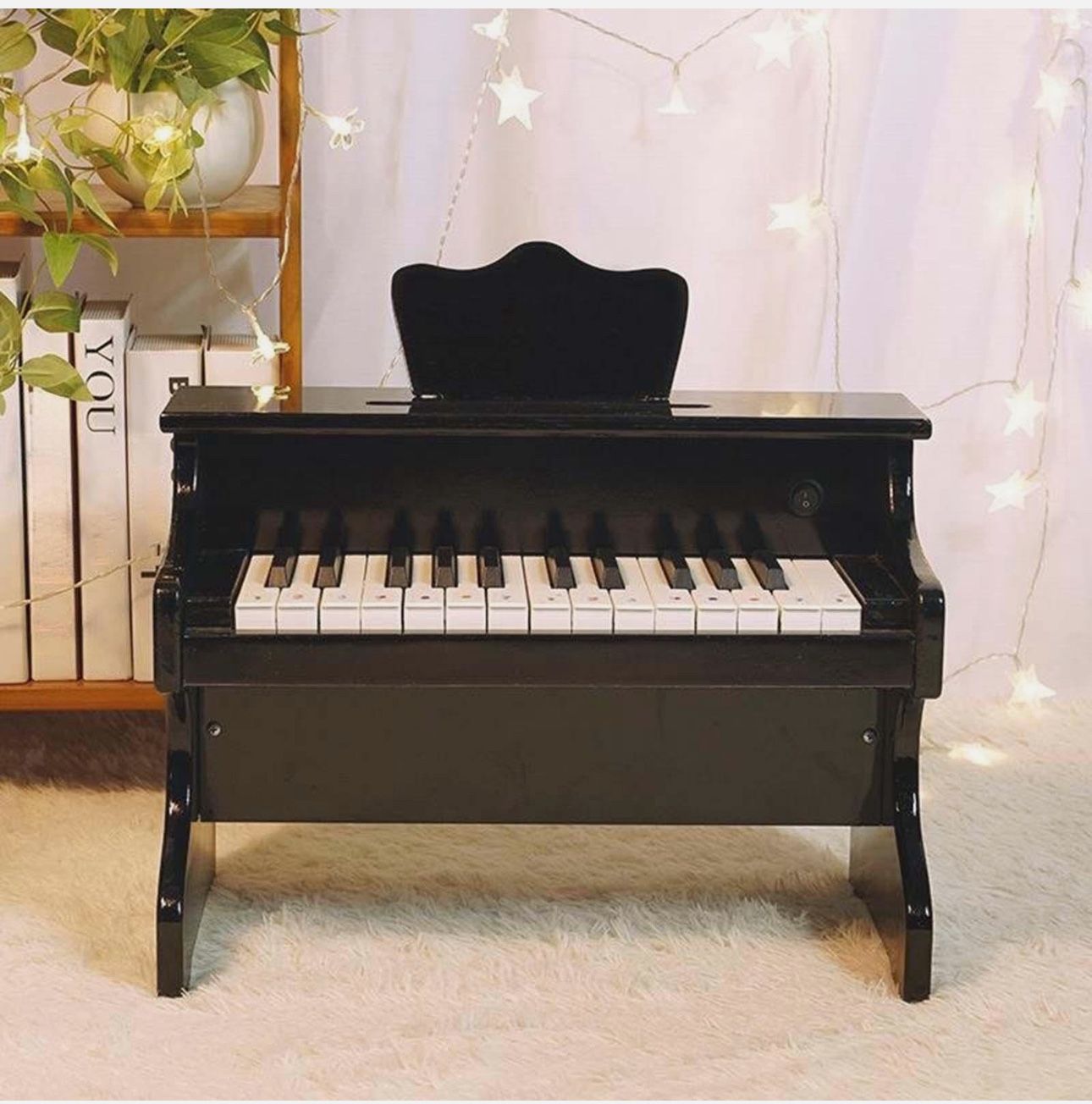 25 Key Electronic Keyboard 