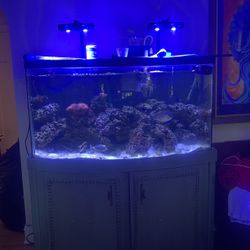Smatfarm Aquarium Lights