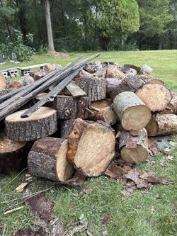 Wood