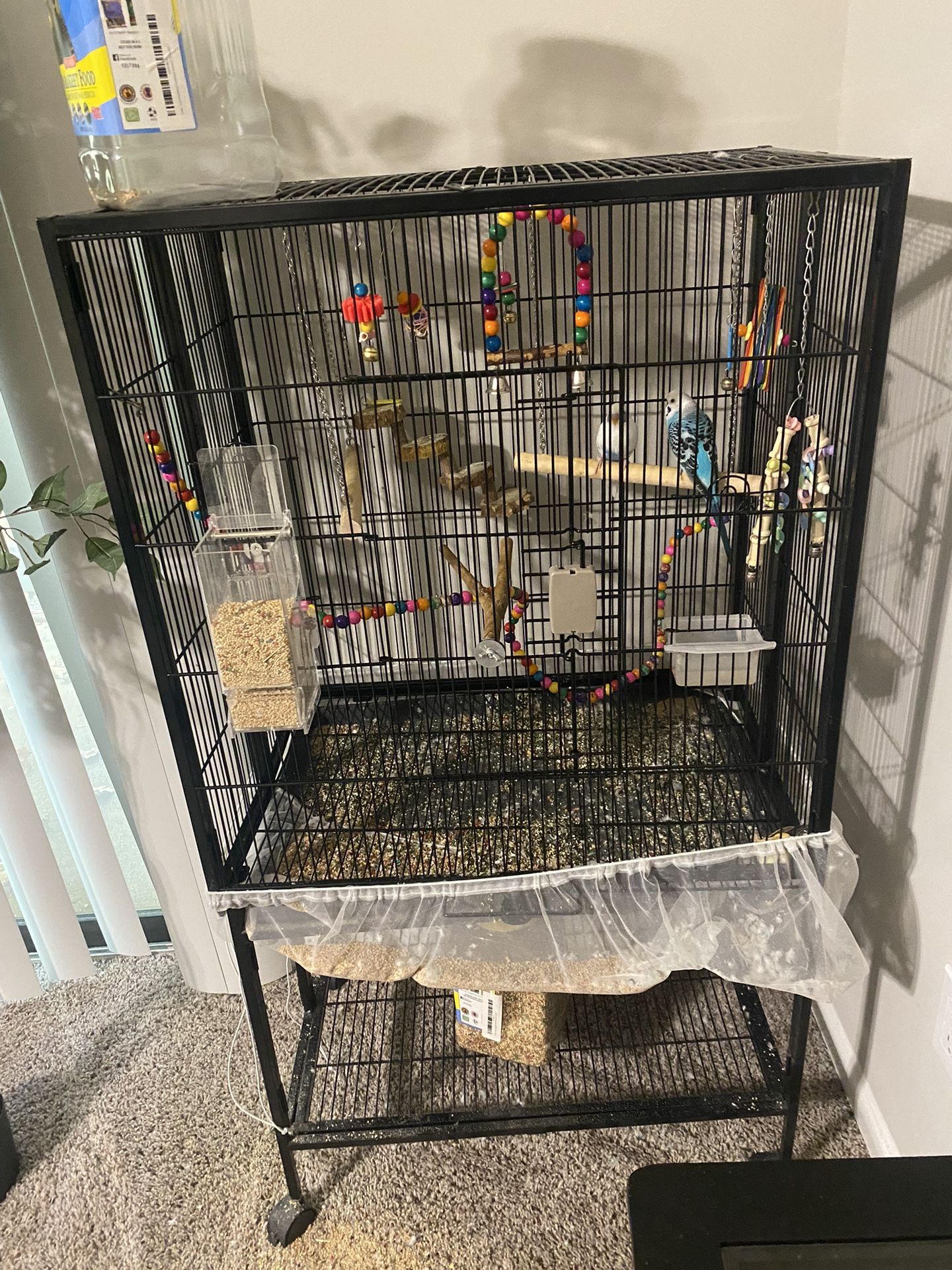 Bird Cage