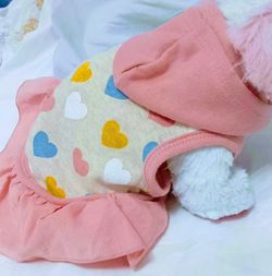 Summer  Dress with Hoodie Puppy outfit with color hearts all over it & Red Leash handle.