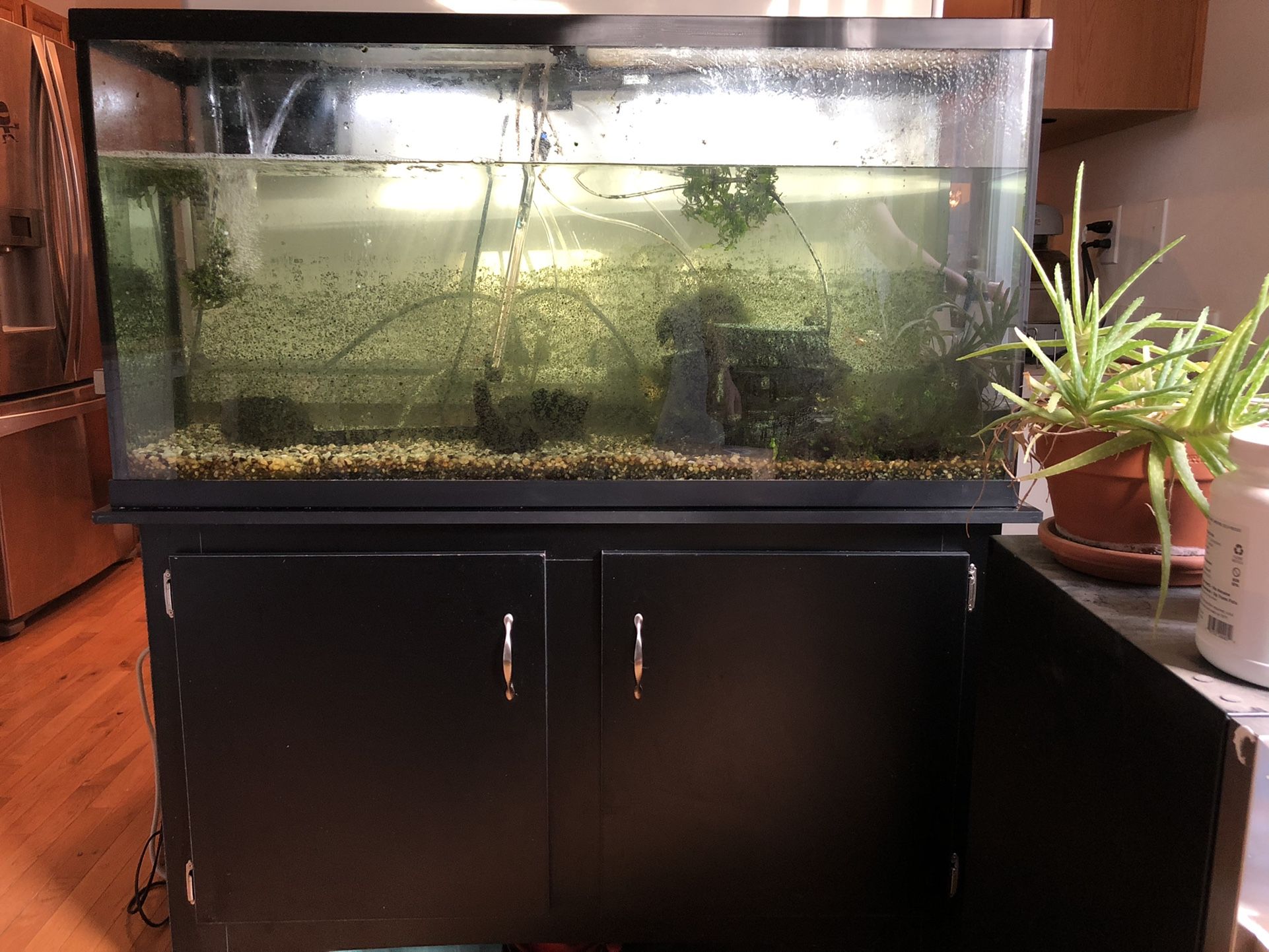 60 Gallon Fish Tank With Cabinet Stand