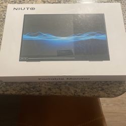 Portable Monitor For Computer (Etc.)  Display