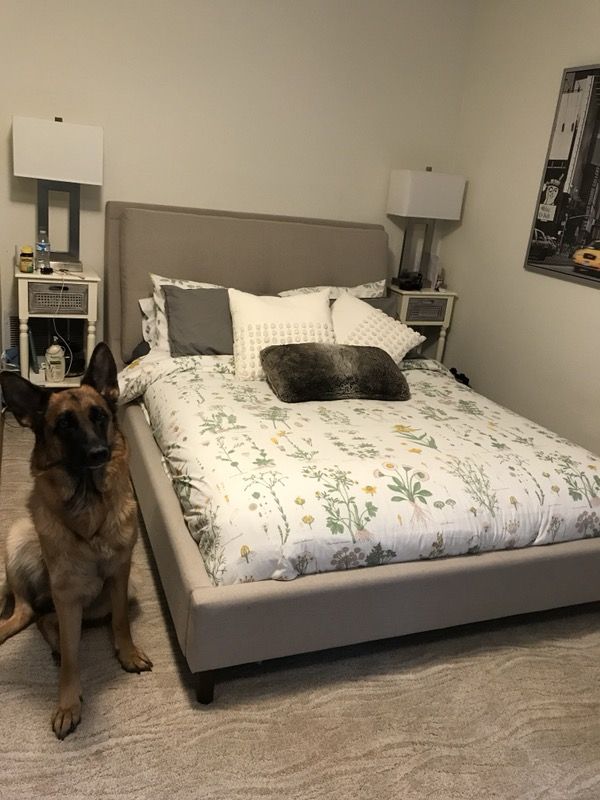 Bed With Headboard And Frame Dania Lotta Queen For In Bed With Headboard And Frame Dania Lotta Queen