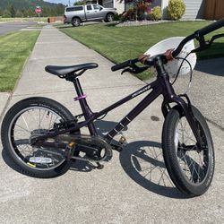 Kids Specialized Jett 16 Mountain Bike