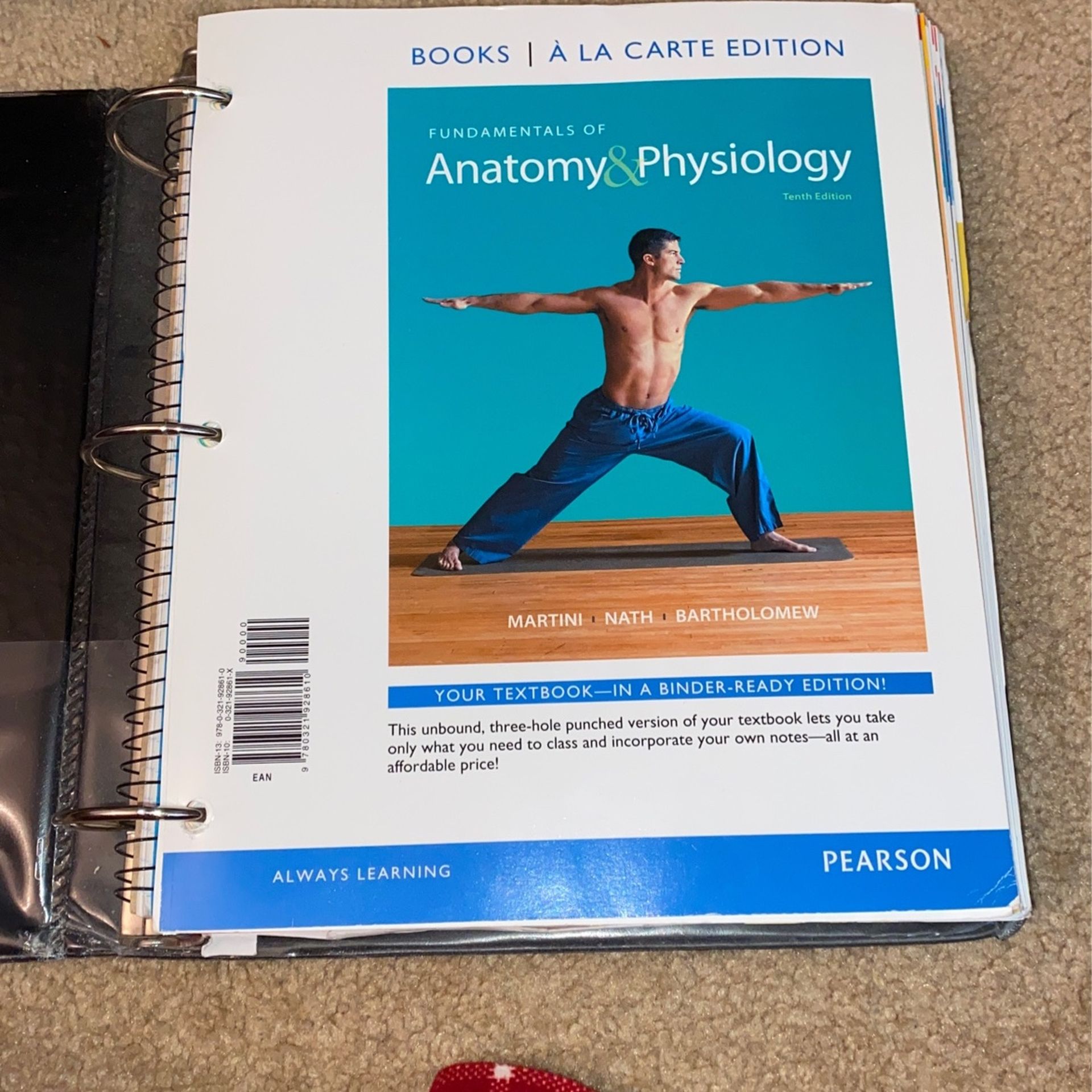 Anatomy And Physiology Tenth Edition Loose In Binder