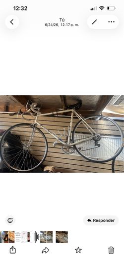 Olmo   Vintage