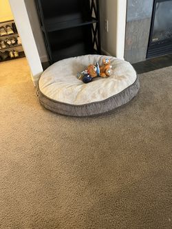 Dog bed $30