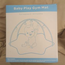 Baby Play Gym Mat