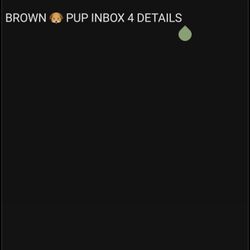 PUP INBOX 4 DETAILS 150 INBOX 4 PICS