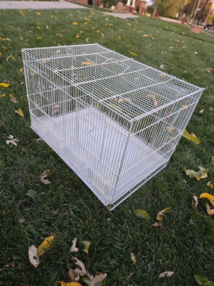 Bird Cages π¦