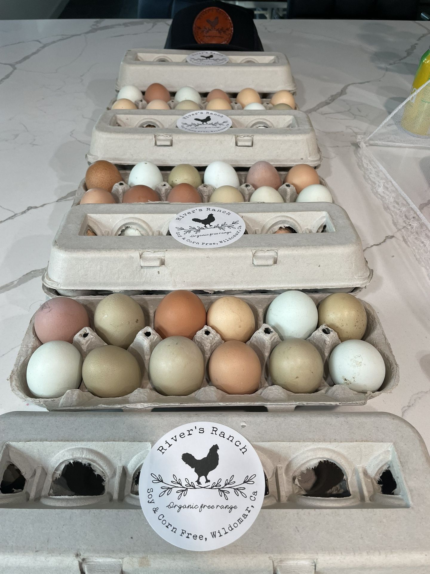 Pasture Raised Eggs