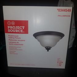 Project Source Ceiling Light