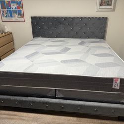 NEW BED FRAME KING SIZE WITH MATTRESS AND BOX SPRING
