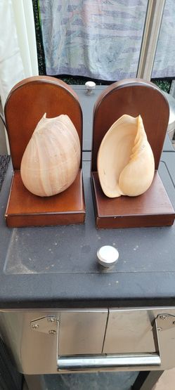 Natural CONCHE SHELL Book Holders