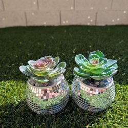 Set of 2 Handmade Artificial Succulents in Disco Ball Planters