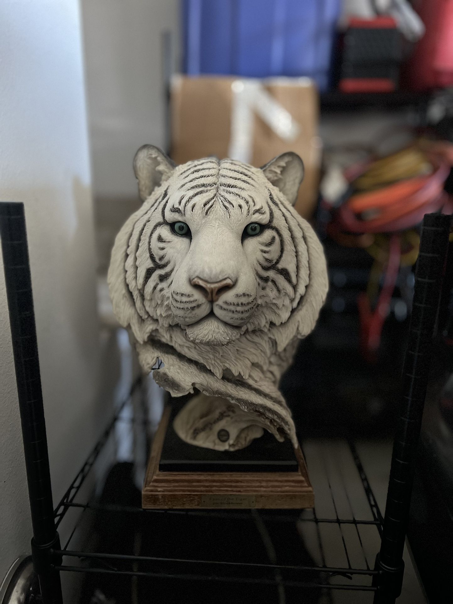 Eye of the tiger by joe slockbower