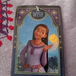 Halloween Costume Disney Wish