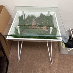 Living Plant Table/end Table