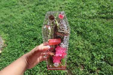 Coffin shape jumping spider enclosure