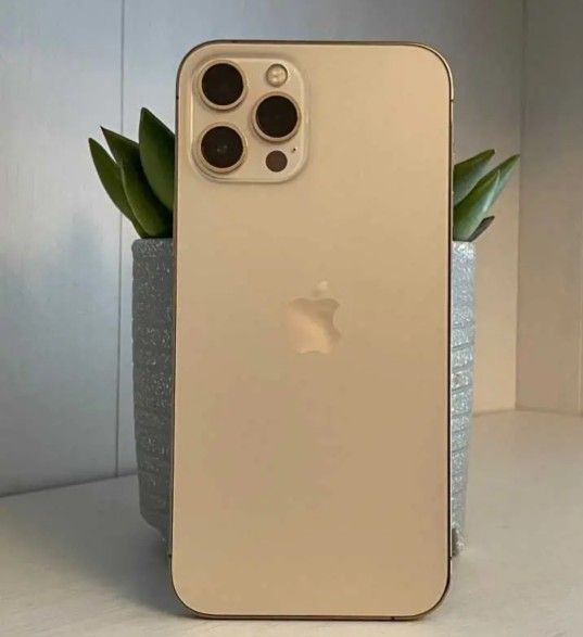 Iphone 12 Pro Max 