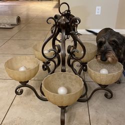 Dining room chandelier dog not included