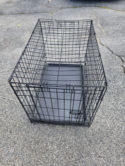 Dog Cage