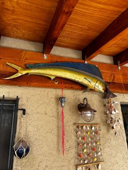 Vintage taxidermy fish