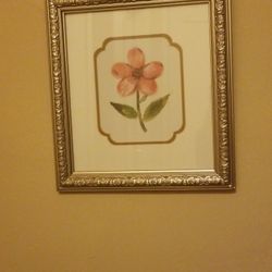 Wild flower spring to summer framed picture