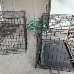 Dog Cages 