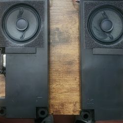 TV speakers 