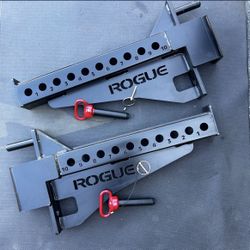Rogue Fitness Monster Spotter Arms with Pins