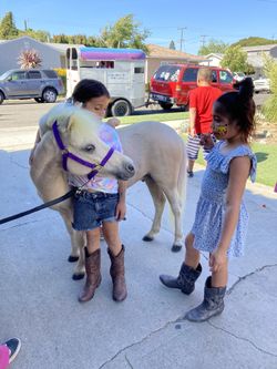 Pony Party