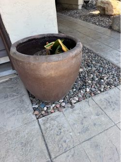 Outdoor planters