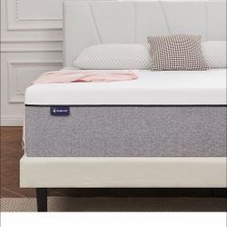 Queen Sized Memory Foam Mattress 