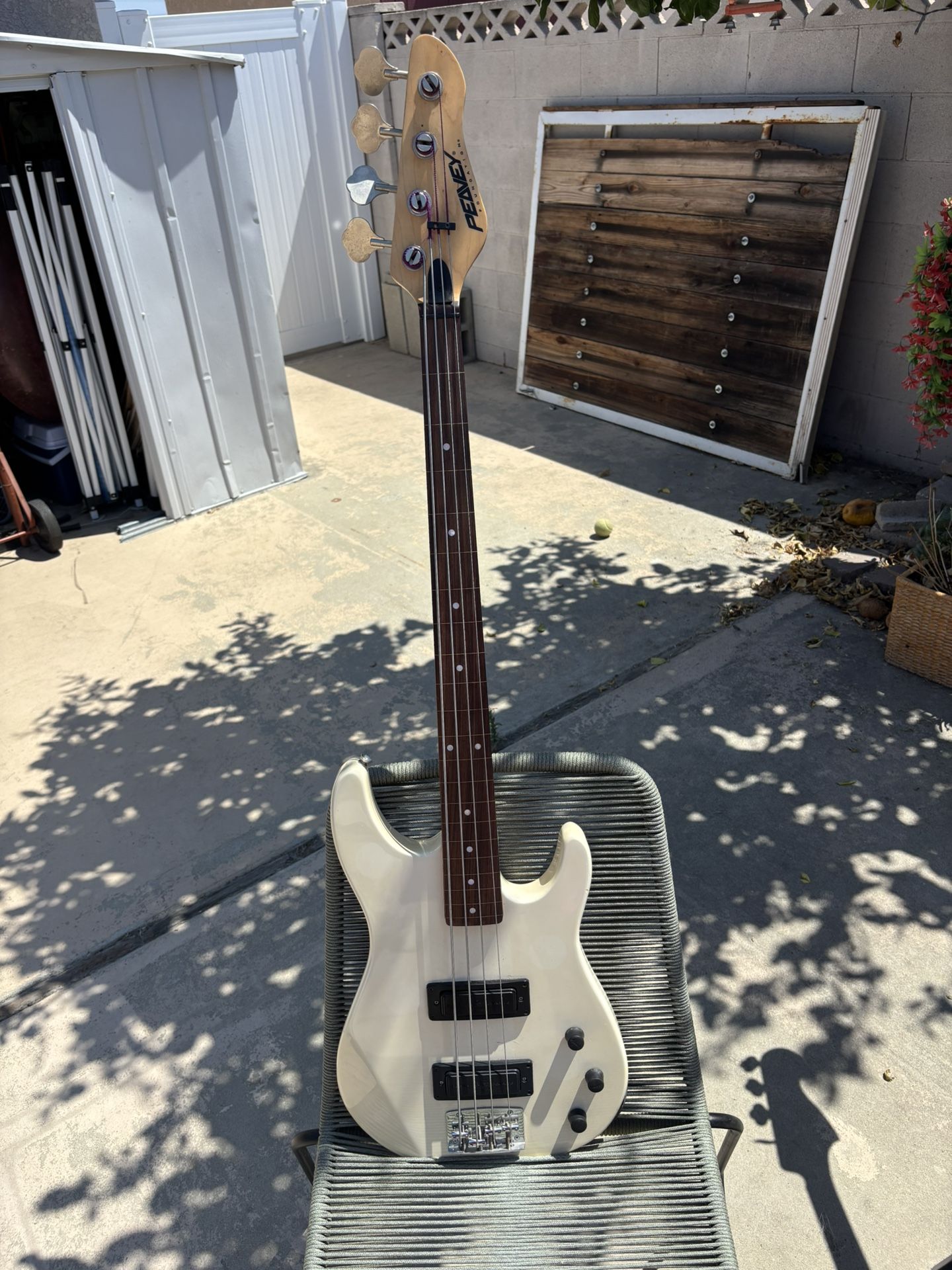 Guitar