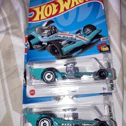 Treasure Hunt Hot Wheels