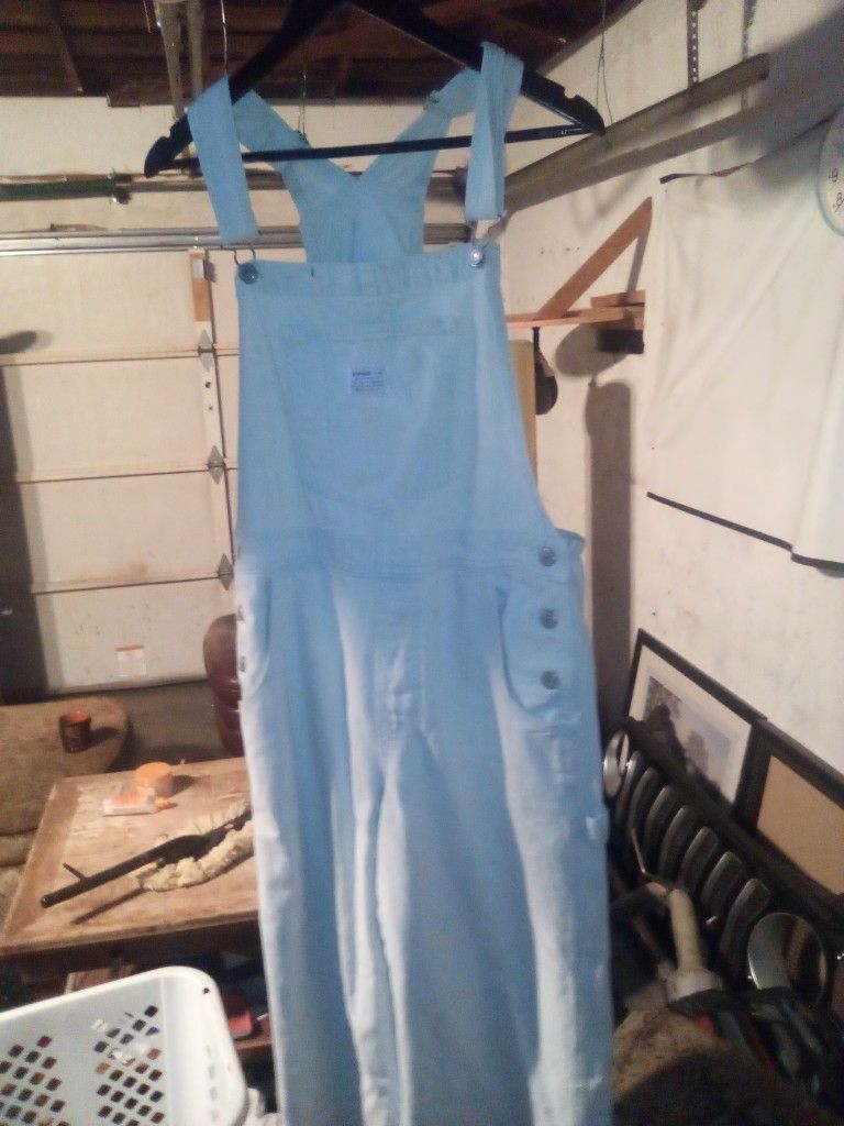 Levi's Overalls