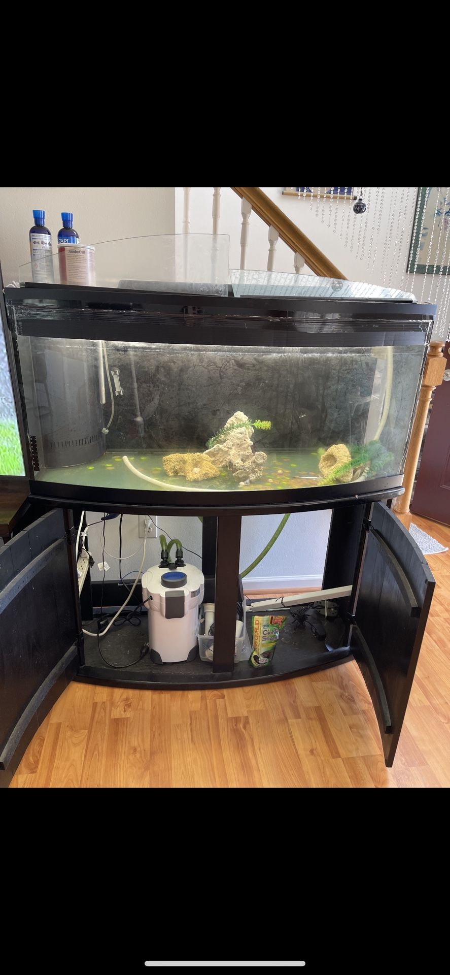 Fish Tank