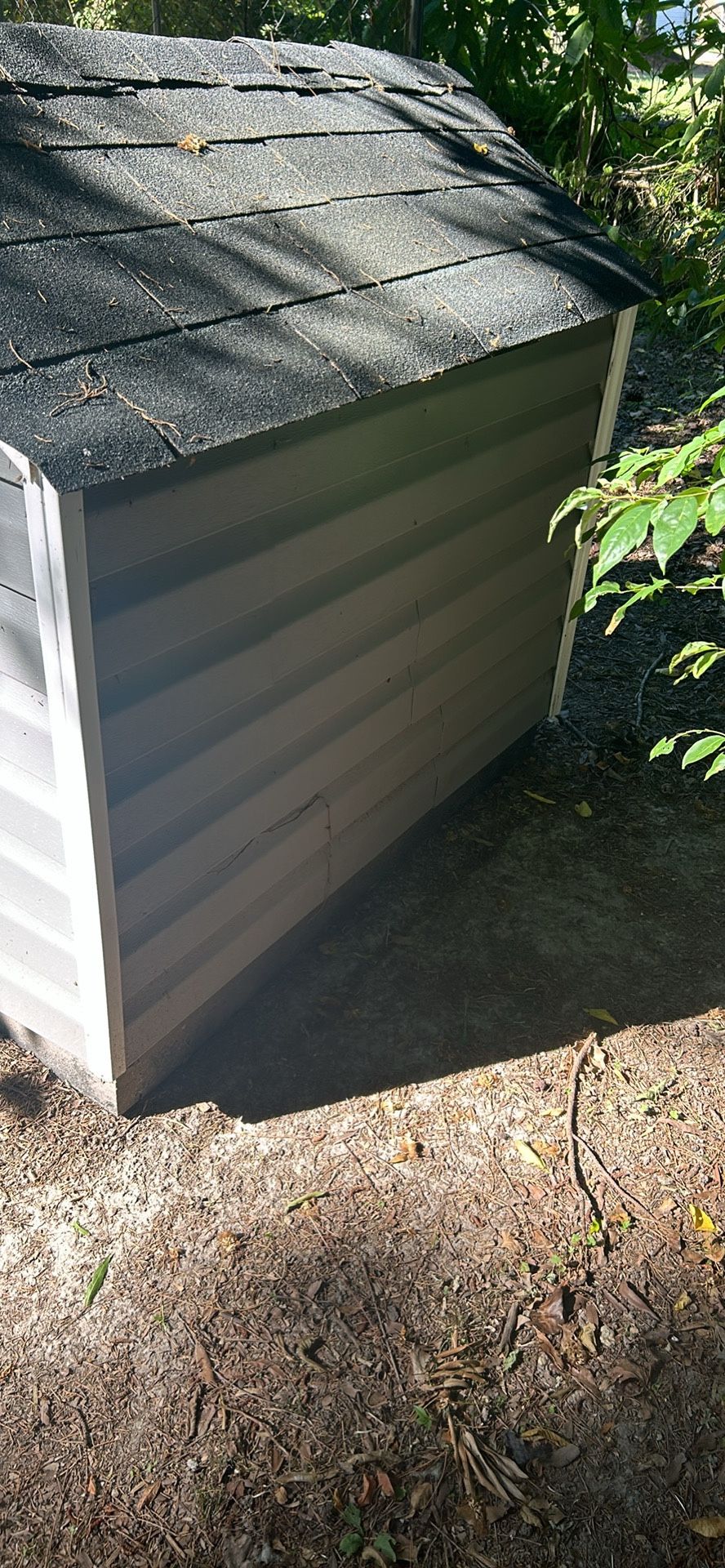 Custom Dog House