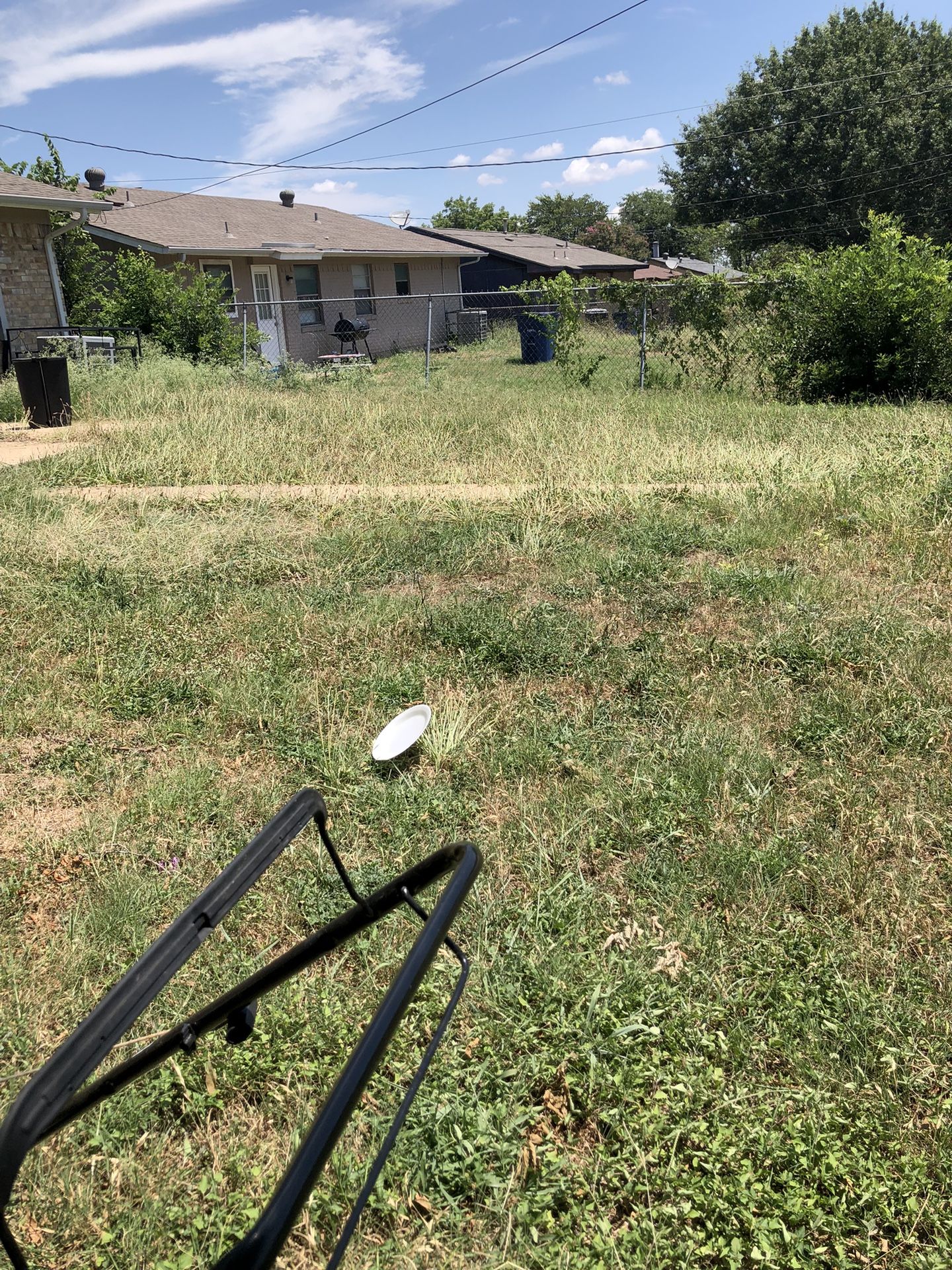 cut grass for low price