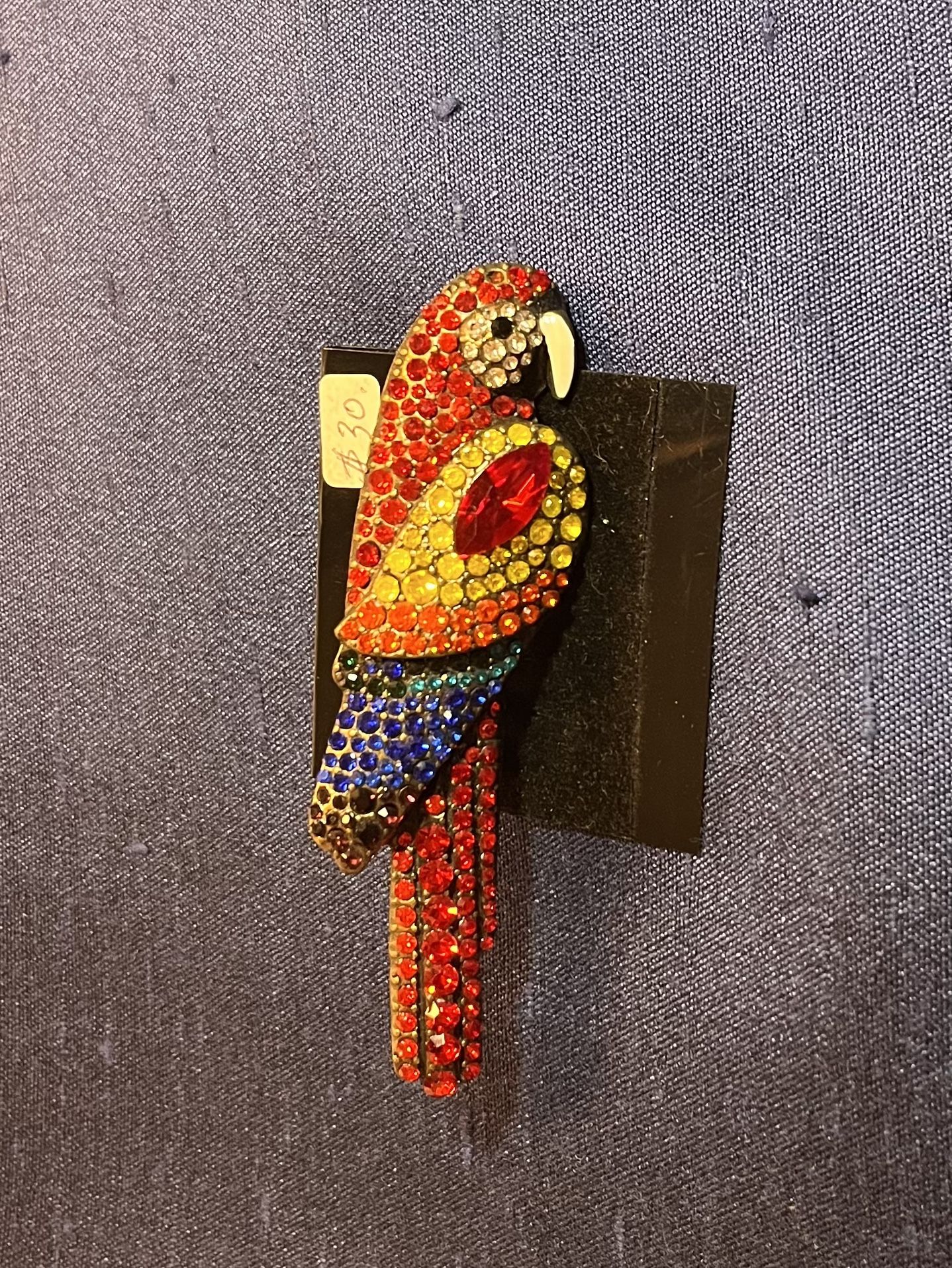 Multi Colors Parrot 🦜 Brooch