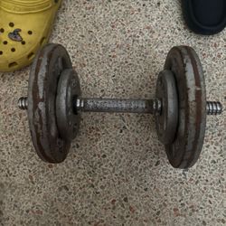 Adjustable Dumbell 