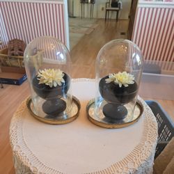 2 Decorative Flowers In Footed Mirror Bowls With Glass Domes