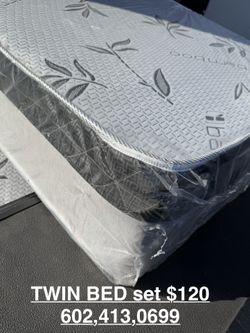 Twin Bed And Box Spring $120