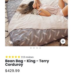 Brand New Bean Bag Chair (converts To A King Size Mattress)