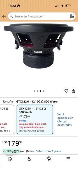 Massive 12" speakers