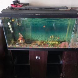 Aquarium 40 Gallon Tank With Lid and Stand