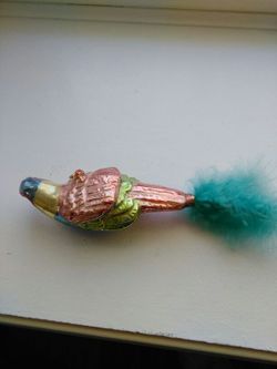 Bird
