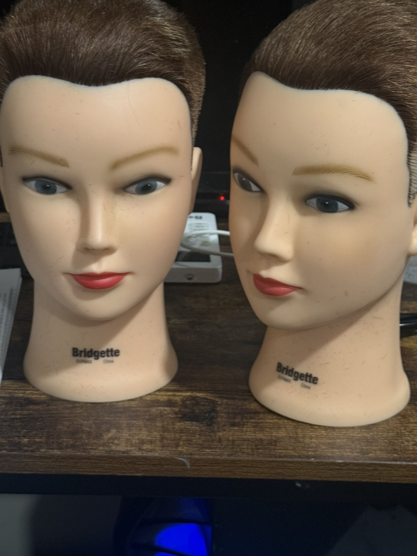 I Got A Couples Used Mannequins